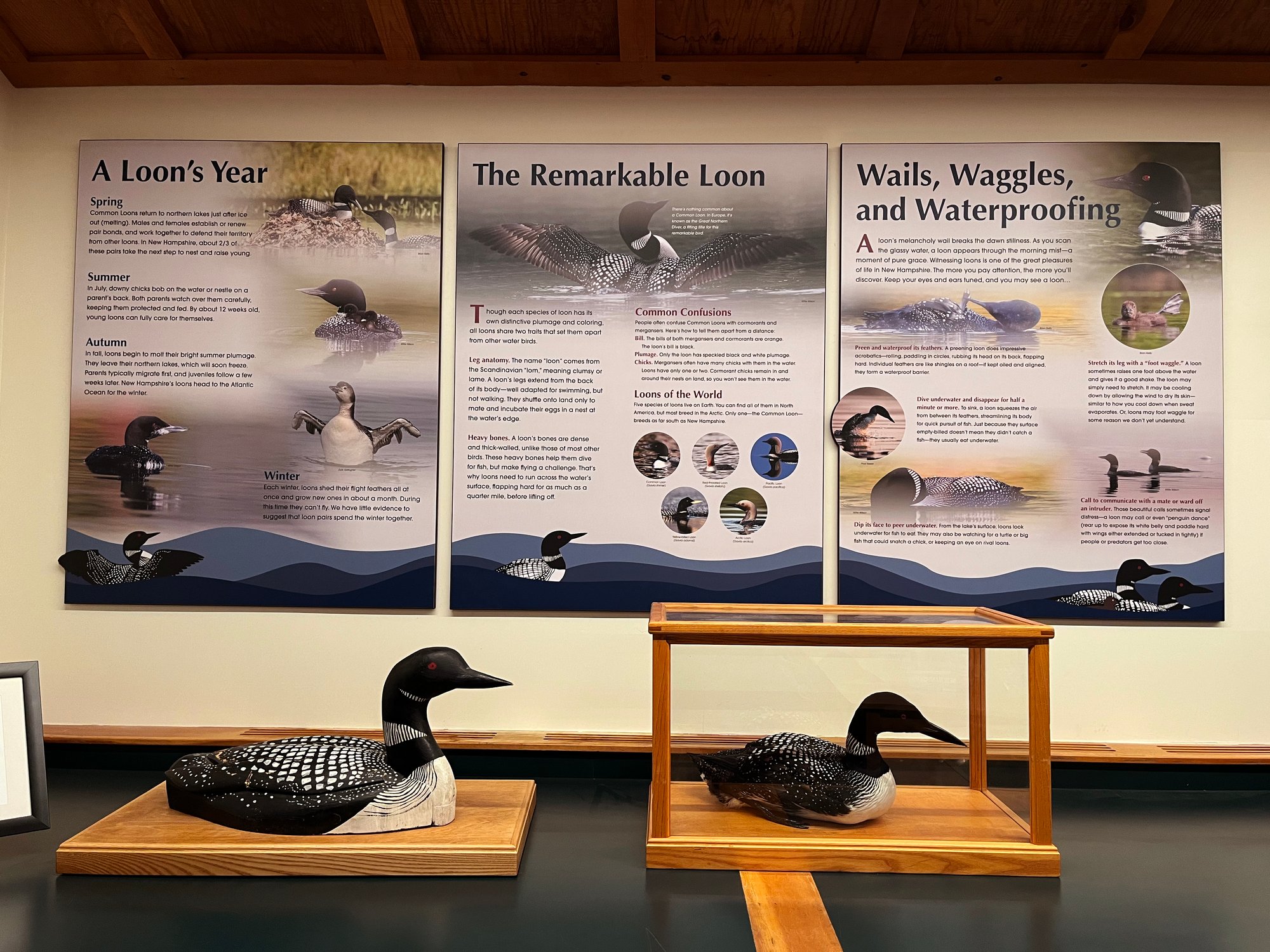 Interior Exhibit Panels