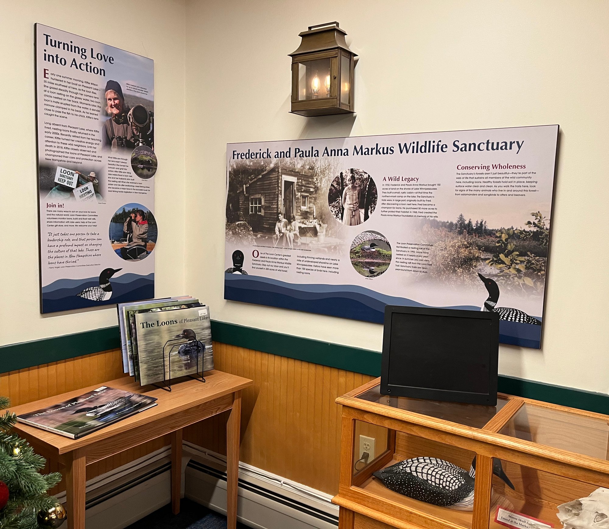 Exhibit Wall Panel
