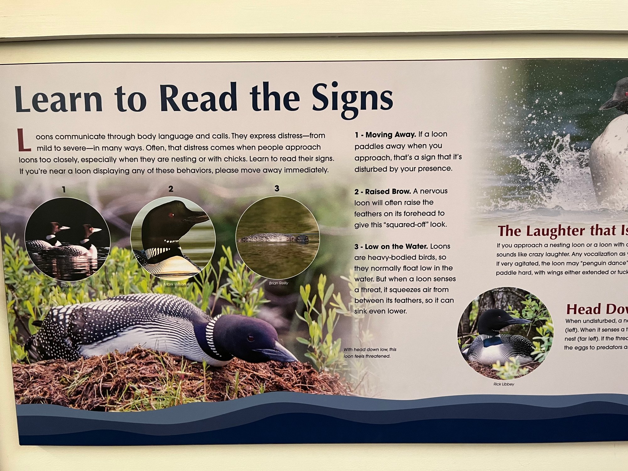 Interpretive Sign