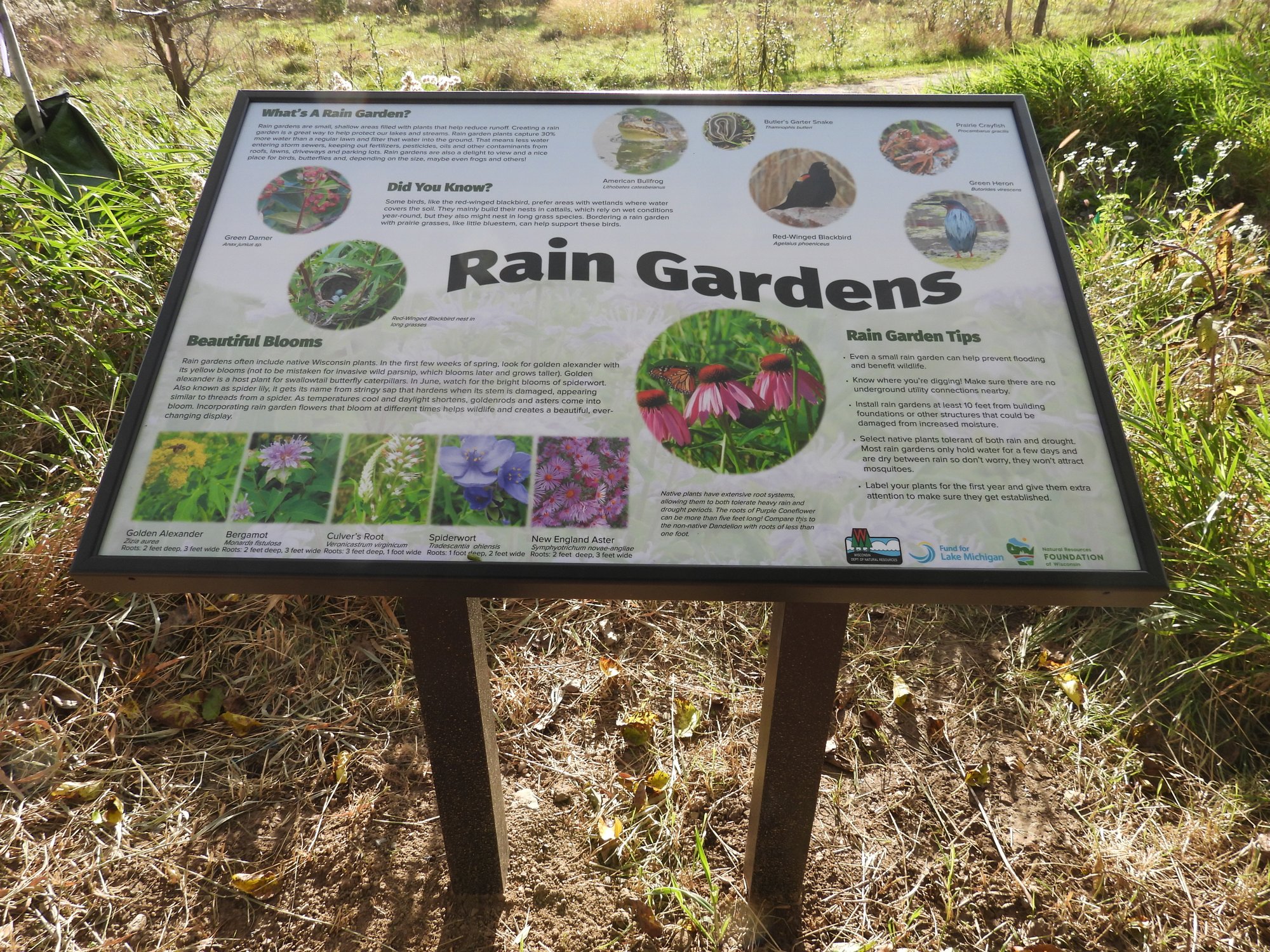 Double Pedestal Interpretive Sign