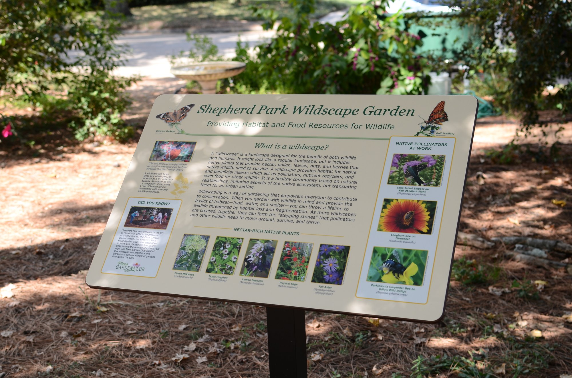 Interpretive Panel