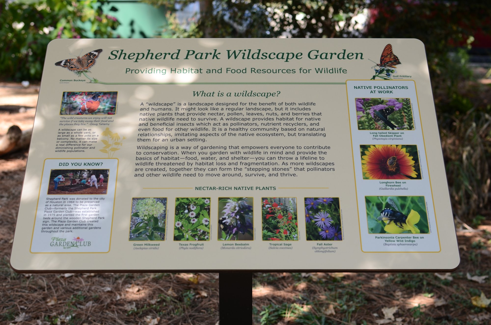 Outdoor Education Panels