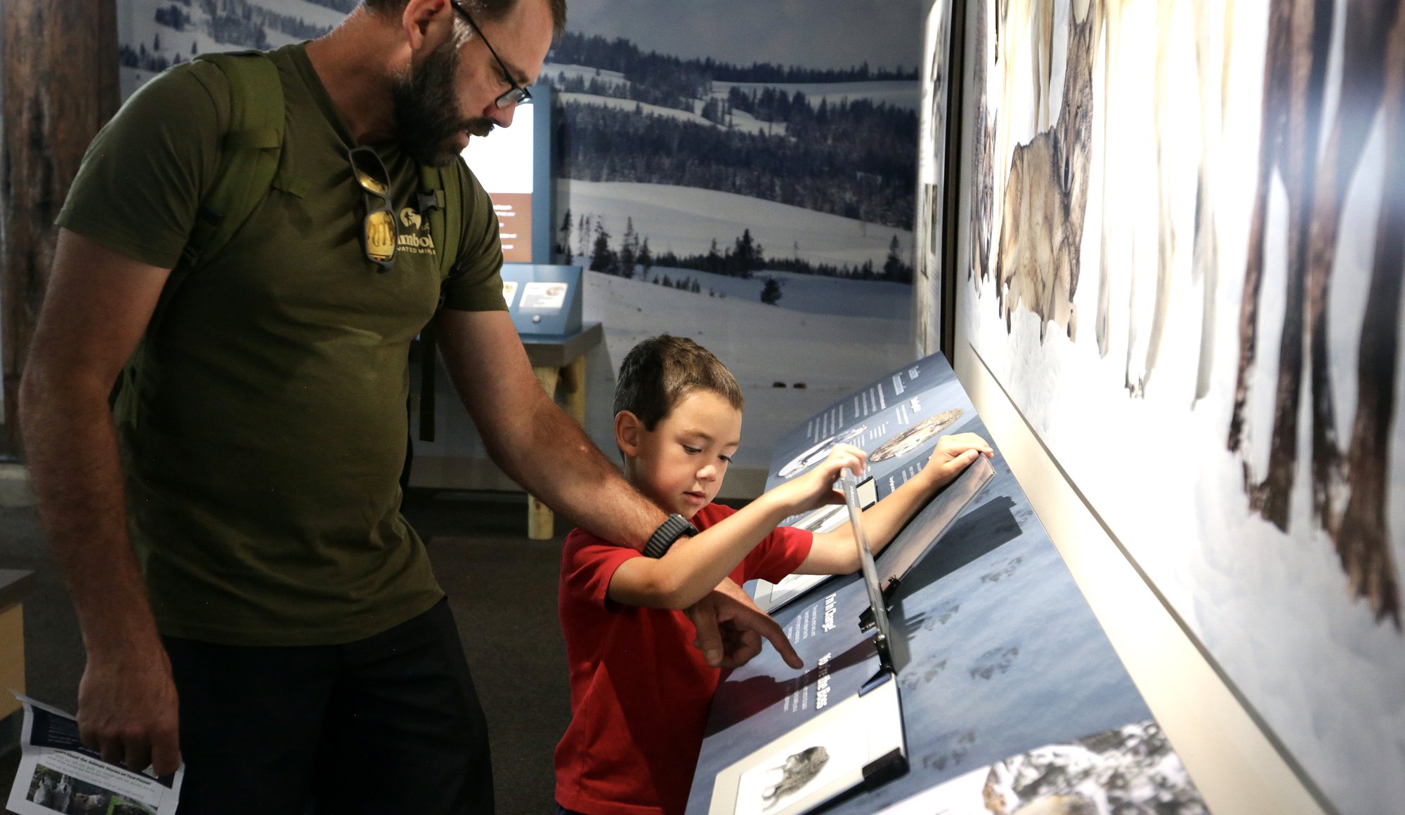 Interactive Panels
