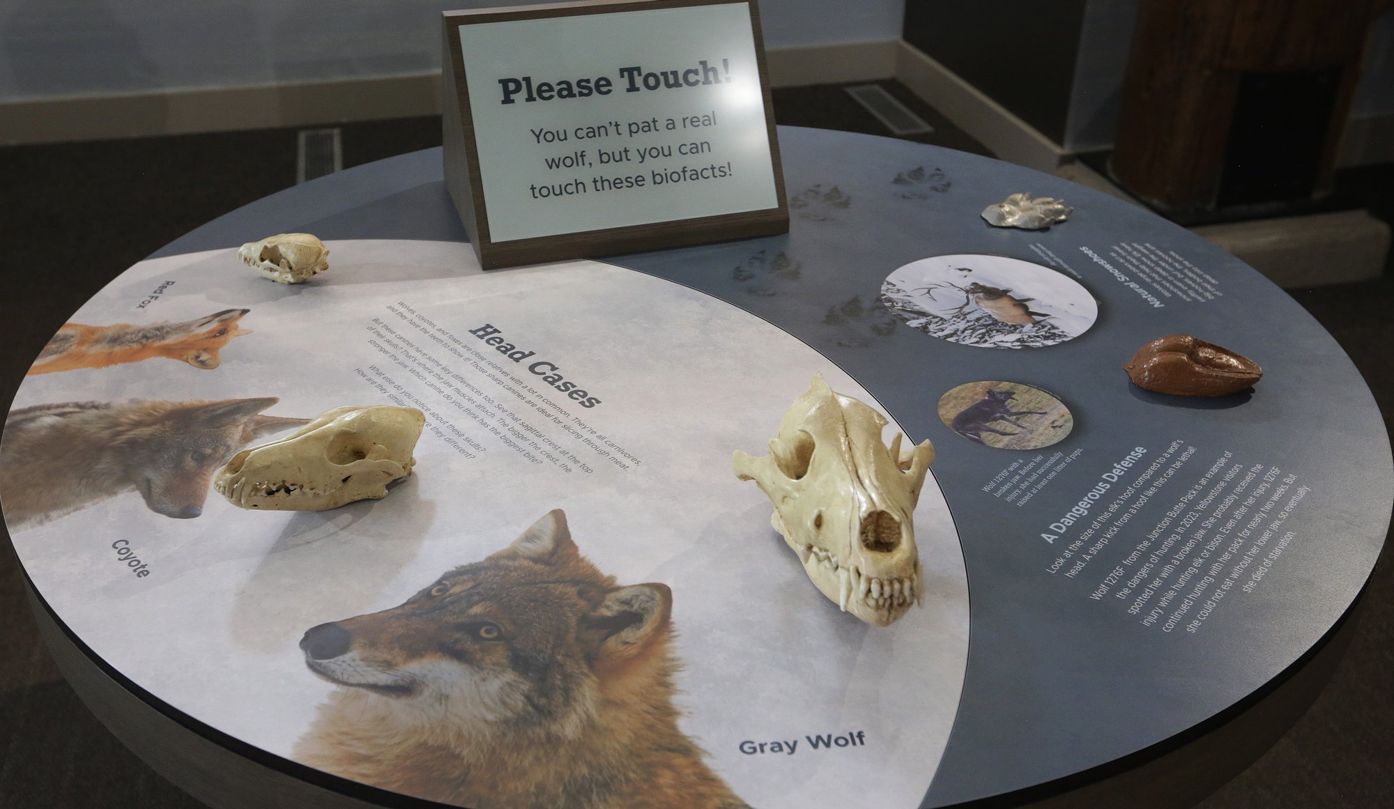 Custom Graphic Exhibit Panel