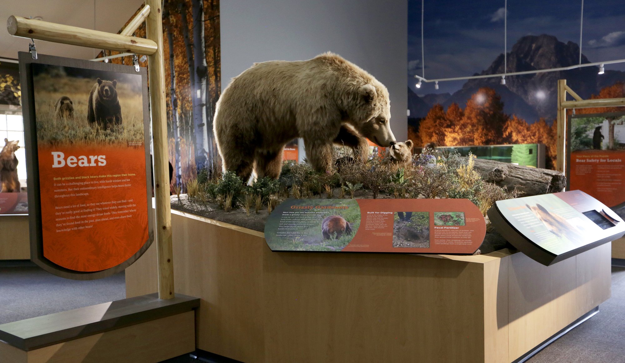 Educational Panels