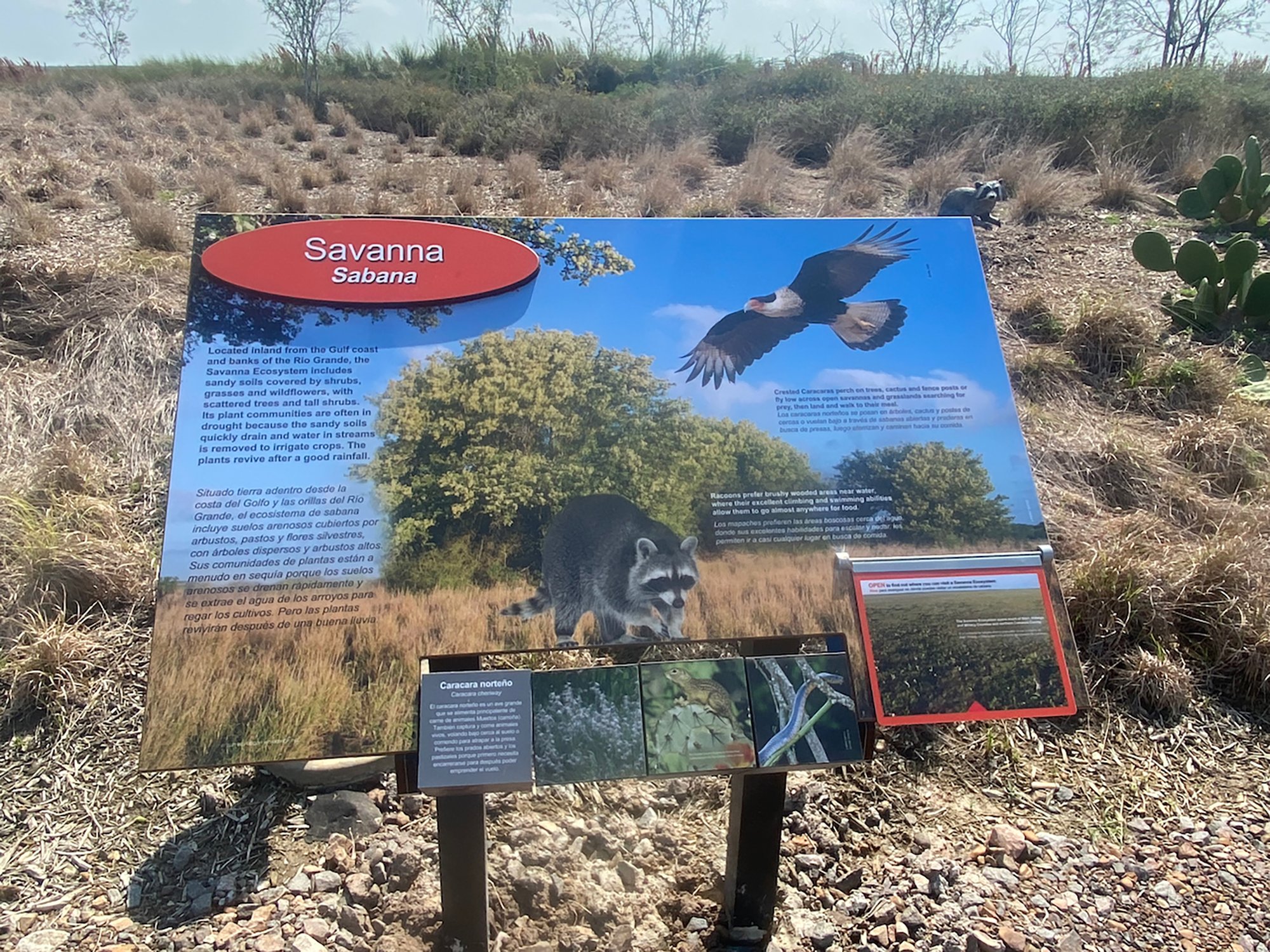 Outdoor Interactive Panel