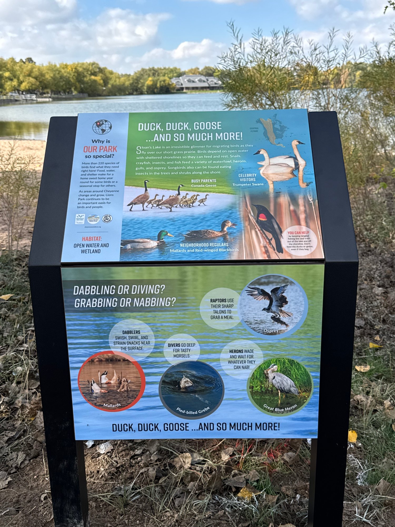 Interpretive Panels