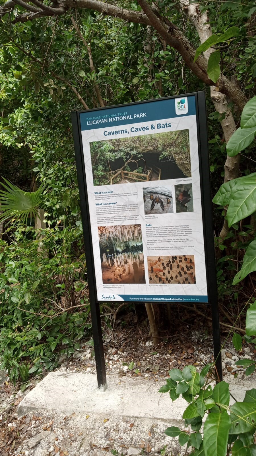 Installed Caverns Sign