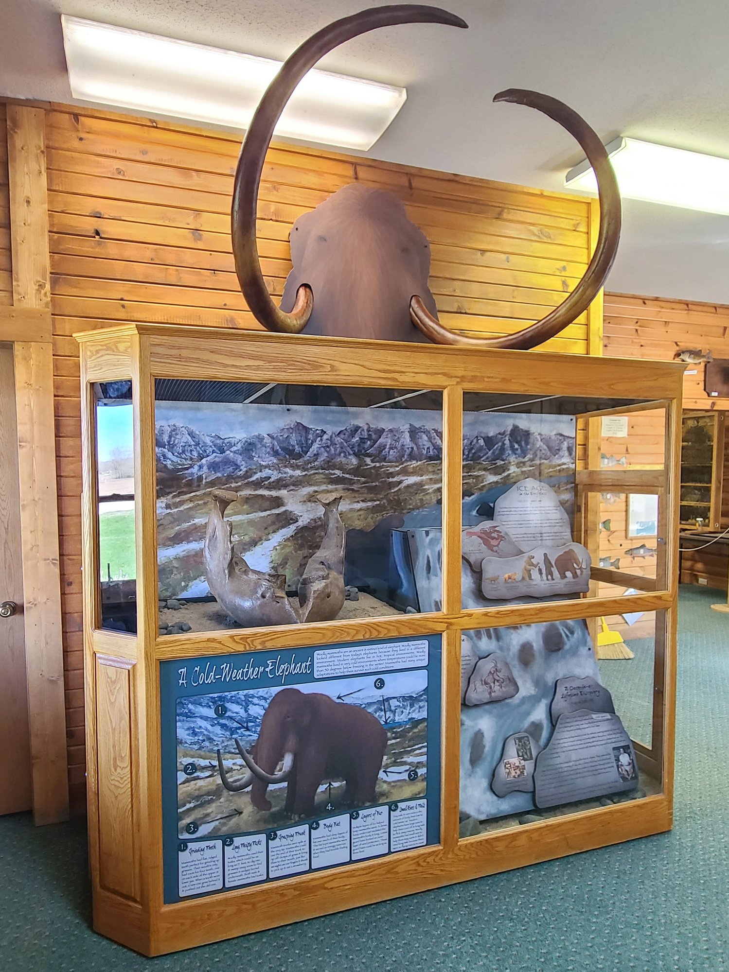 Mammoth Display
