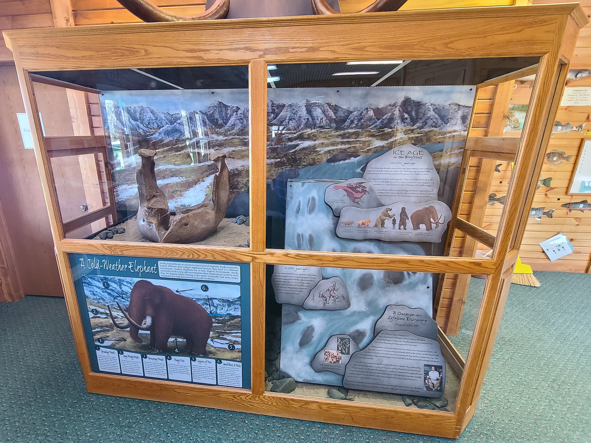 Interpretive Panels