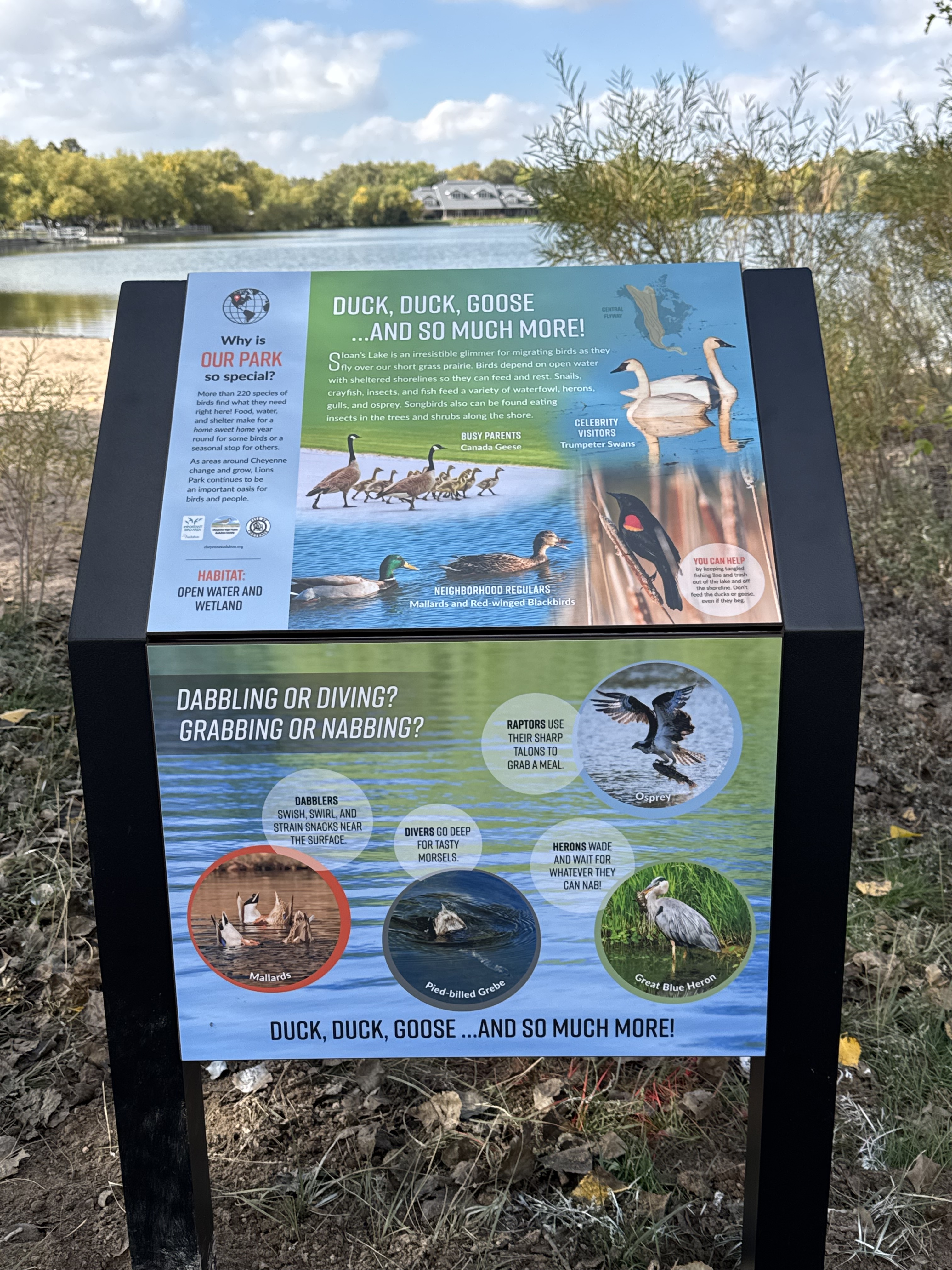 Interpretive Panels