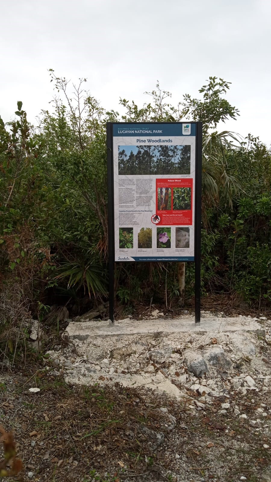Installed Pine Woodlands Sign
