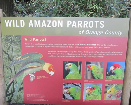 Zoo Parrot Outdoor Laminated Sign
