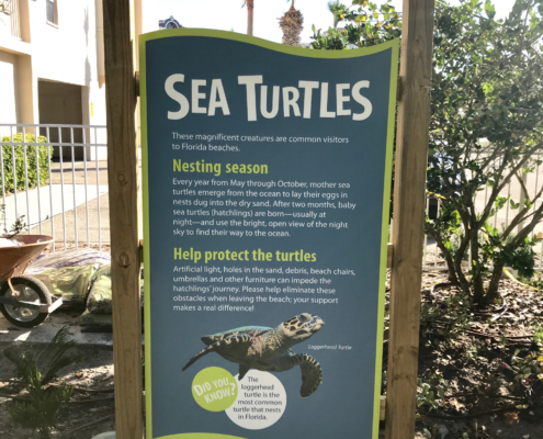 Florida Beach Resort shaped intepretive panel in kiosk featuring sea turtles