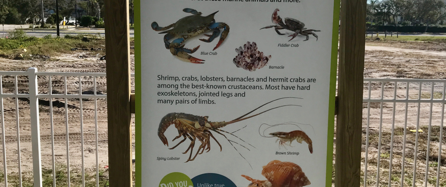 Florida Beach Resort shaped intepretive panel in kiosk featuring crustaceans