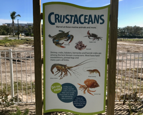 Florida Beach Resort shaped intepretive panel in kiosk featuring crustaceans