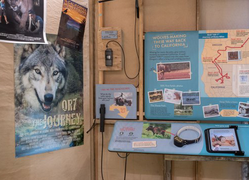 Oakland Zoo multi-interactives attached to exhibit panels