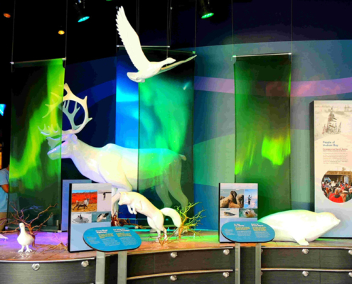 Indoor zoo exhibit featuring white animal sculptures and CHPL panels