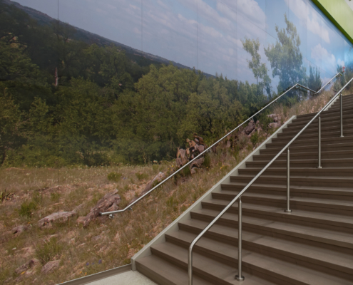 Thornton Elementary School wall mural beside staircase featuring Texas native landscapes