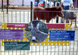 Winnick Zoo - donkey interpretive sign
